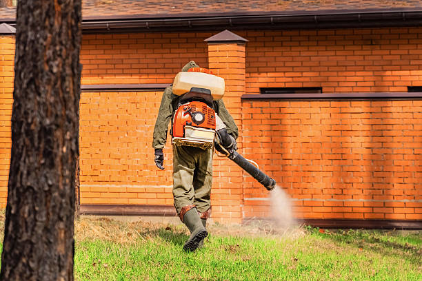 Bed Bug Clearance Verification and Documentation in Makawao